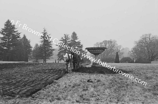 FIRST PLOUGHING OF GARDEN